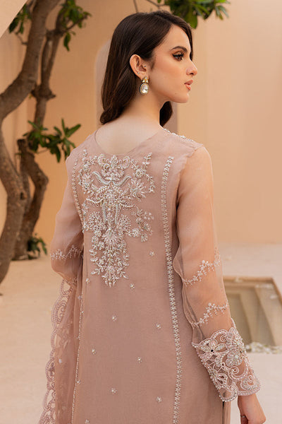 3  Piece Stitched Organza & Raw Silk Suit